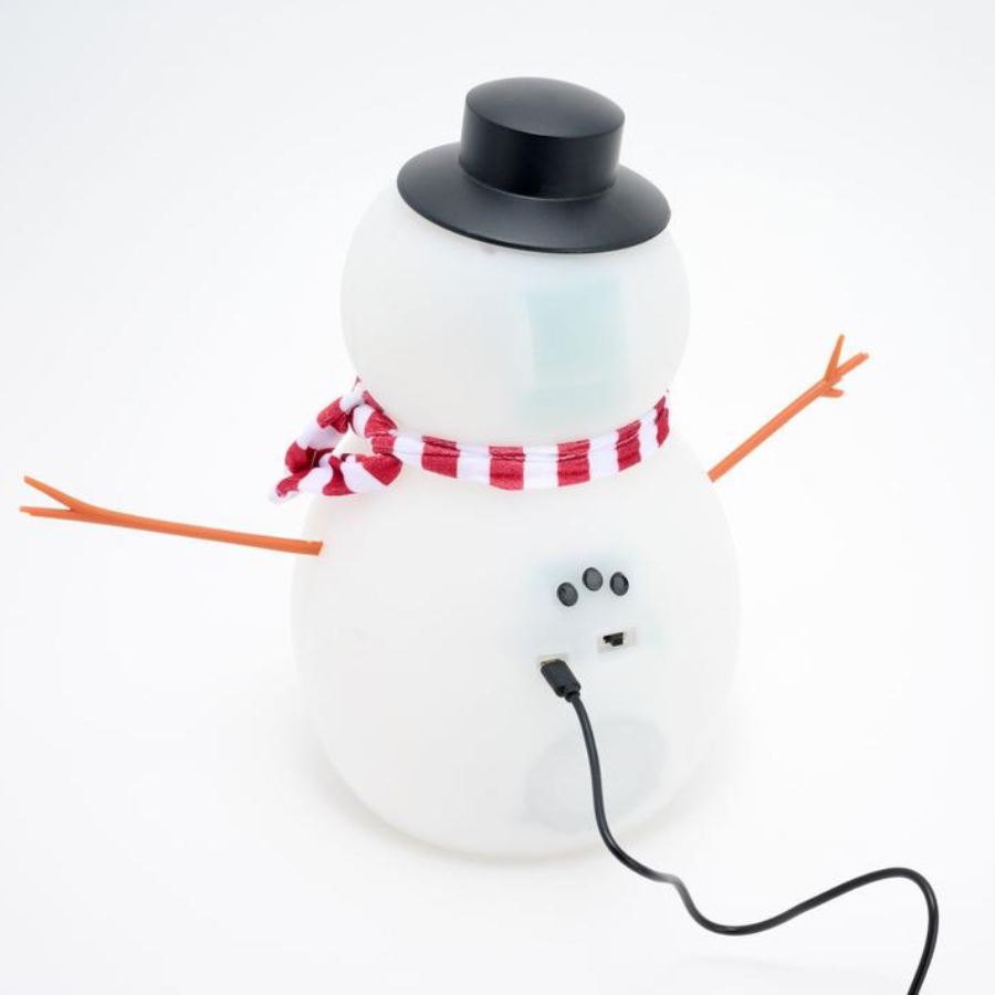 Frostbyte Animated Talking Snowman